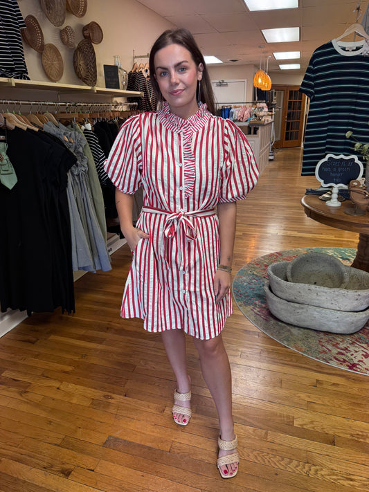 Berry Striped Dress