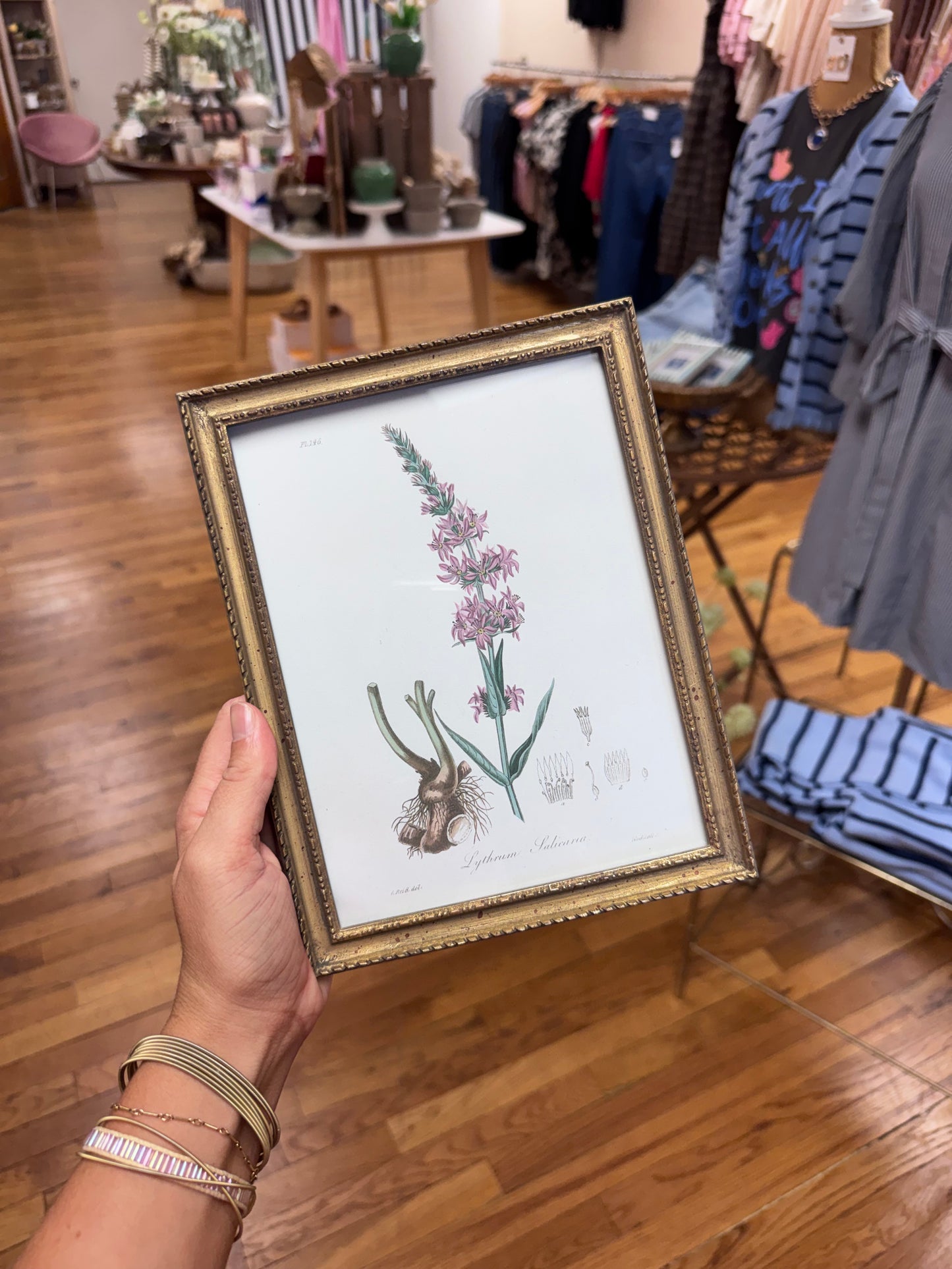 Botanical Artwork 6x8