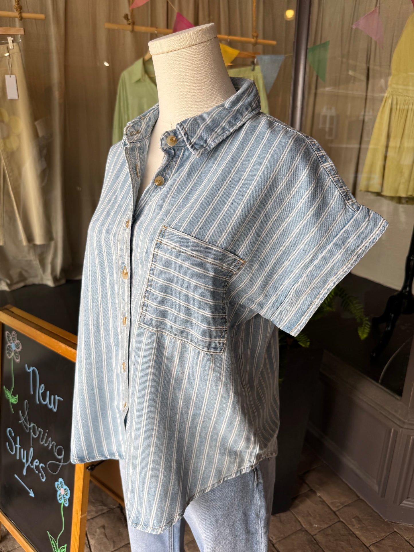 Striped Chambray Button Down