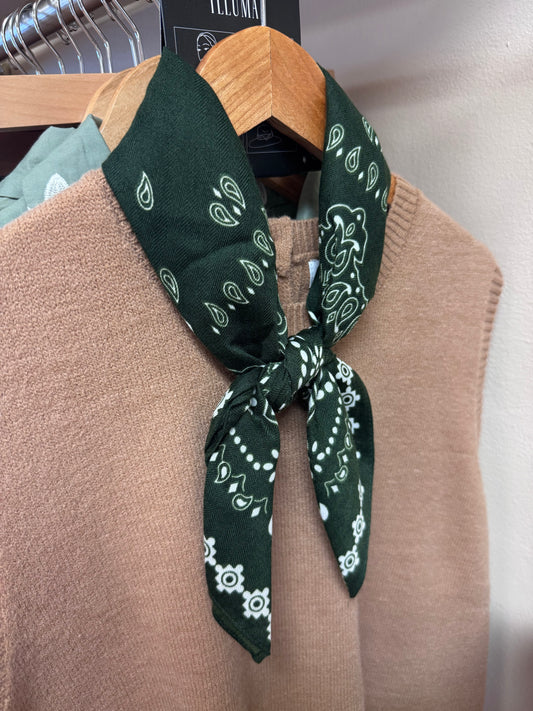 Green Paisley Print Scarf