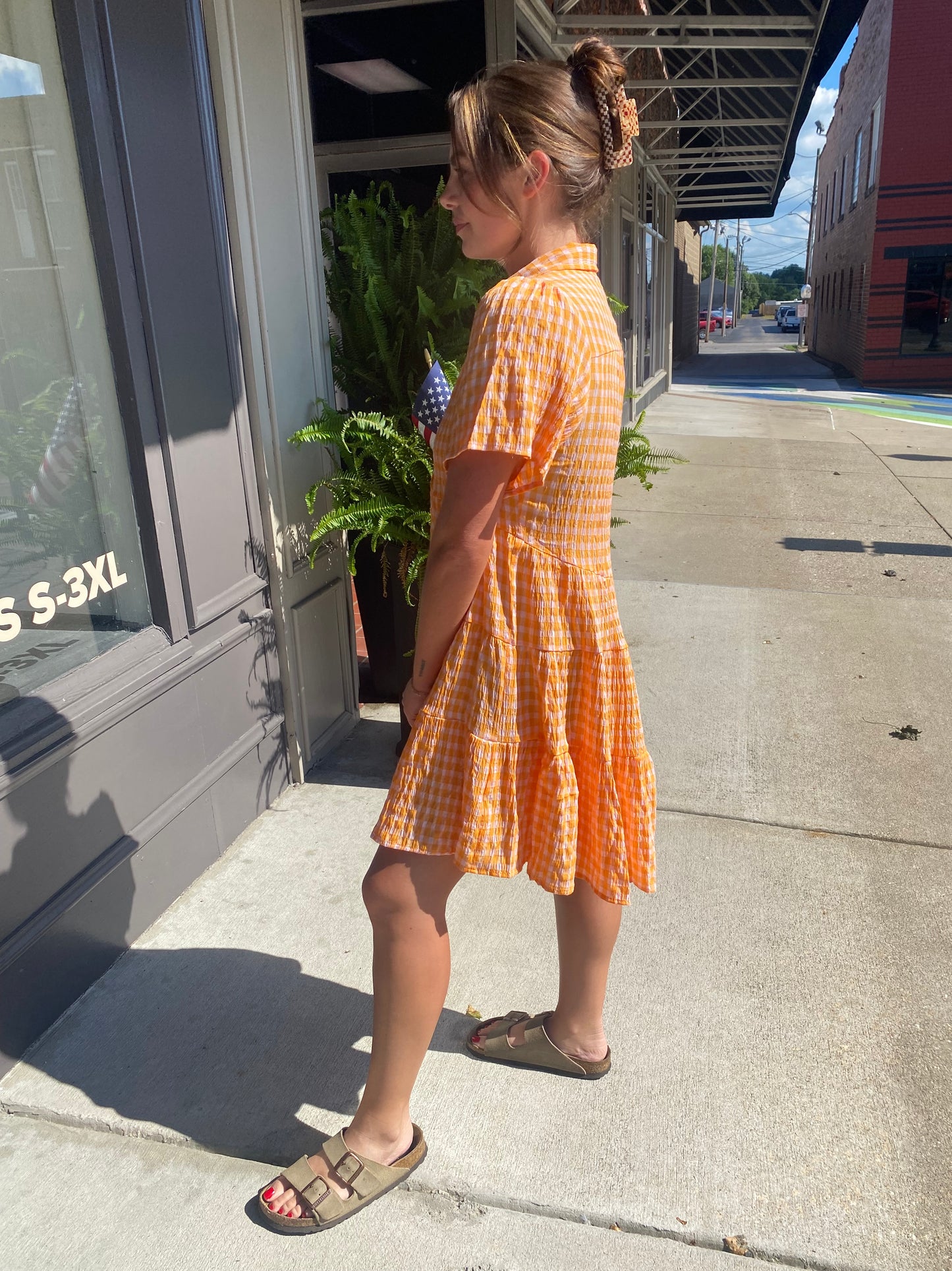 Sunshine Gingham Dress