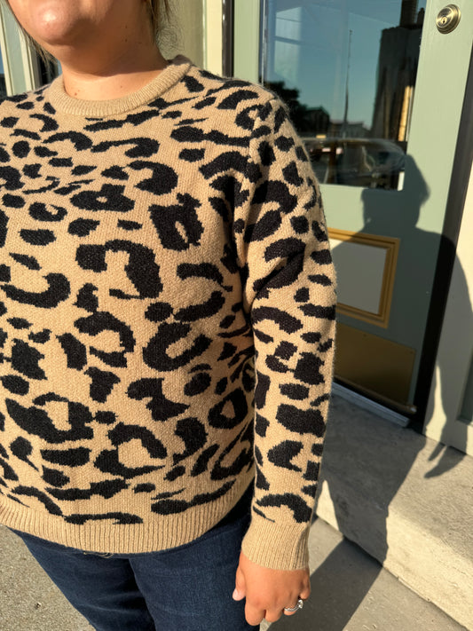 Cheetah Luxe Sweater