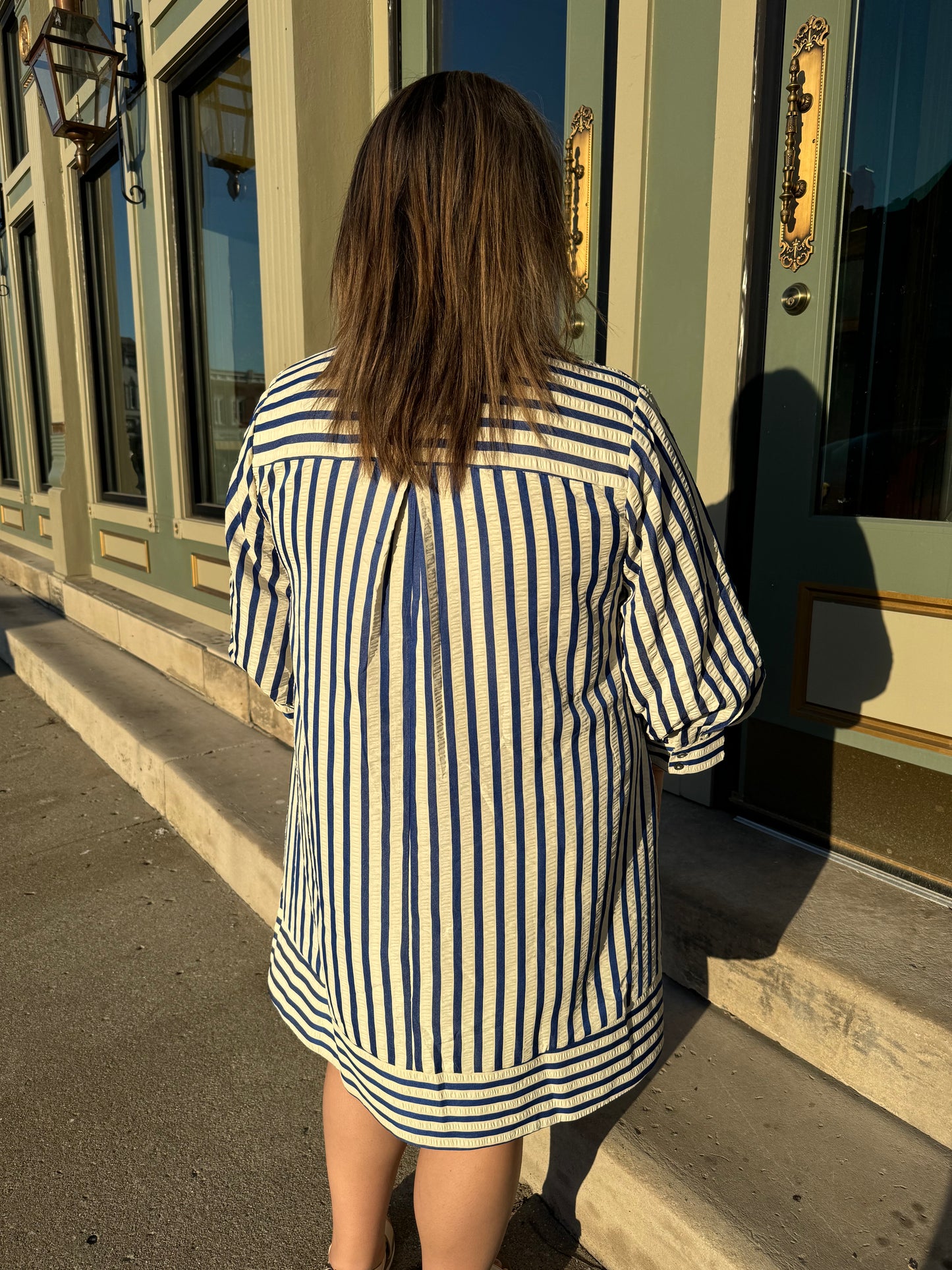 Blue Stripe Collared Dress