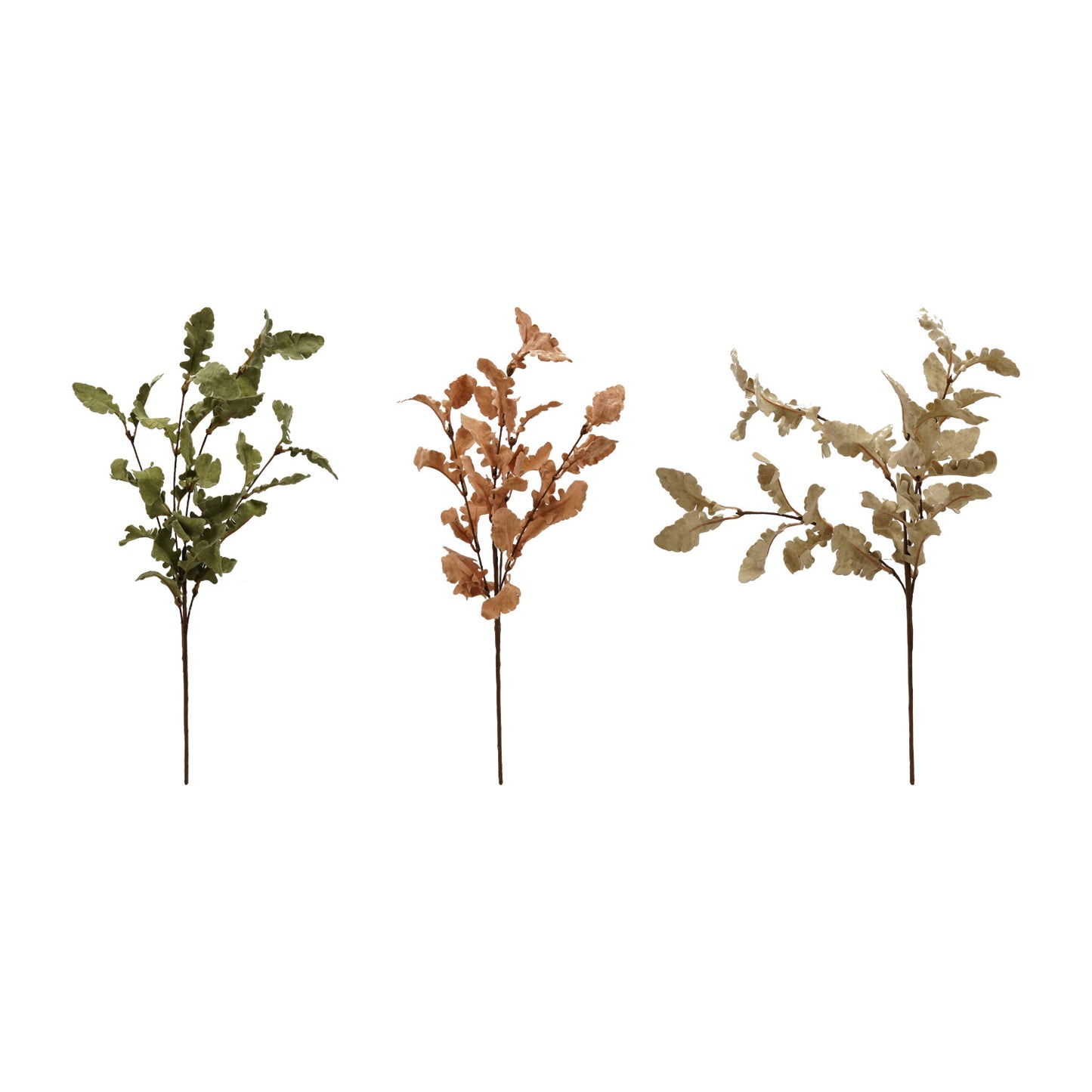Oak Leaf Stem